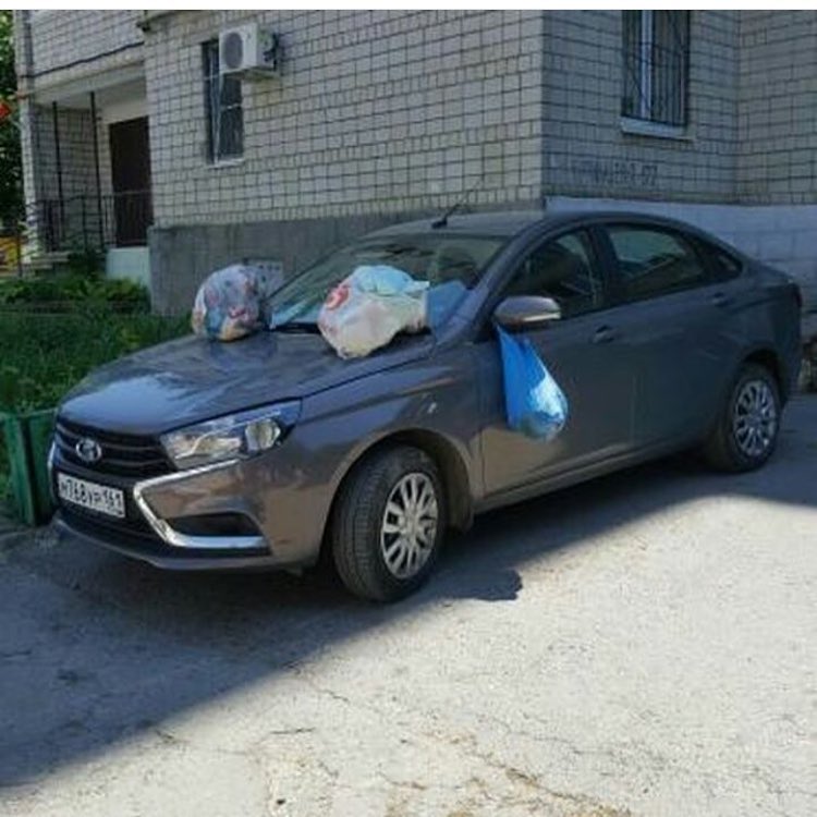 маш.jpg маш.jpg