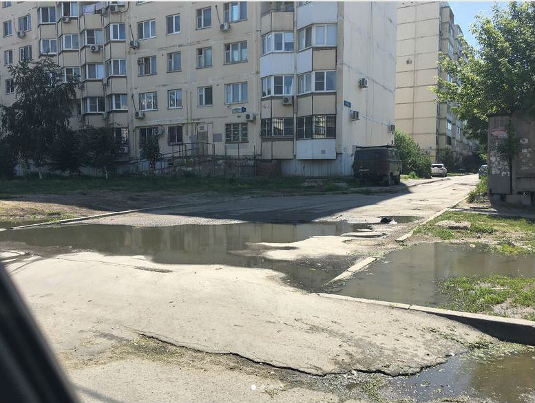 горшкова.JPG