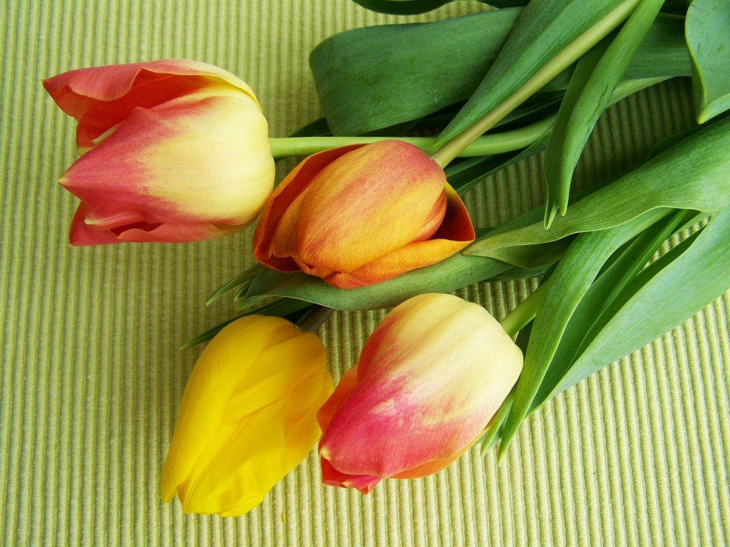 tulip-bouquet-2033036_1280.jpg