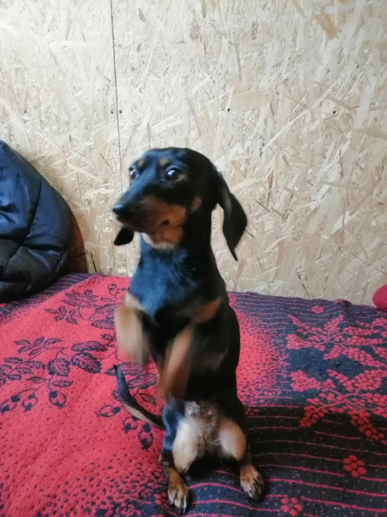 wDig0I5HuTI.jpg wDig0I5HuTI.jpg