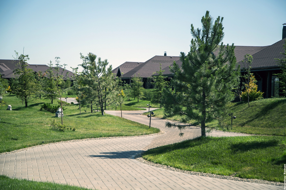 478_content.jpg 478_content.jpg