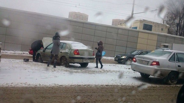дтпшеболд.jpg