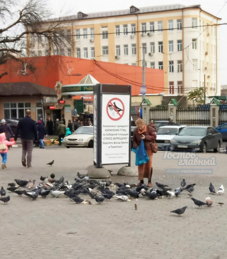 N3MCVc3-ROI.jpg N3MCVc3-ROI.jpg