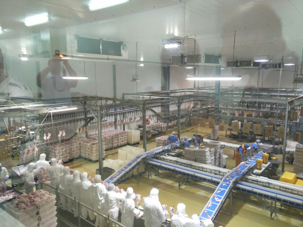 v5_pt4xkhxa.jpg v5_pt4xkhxa.jpg