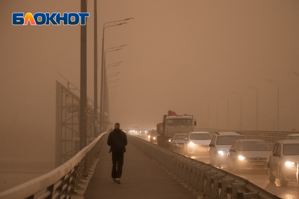 IMG_9782.jpg IMG_9782.jpg