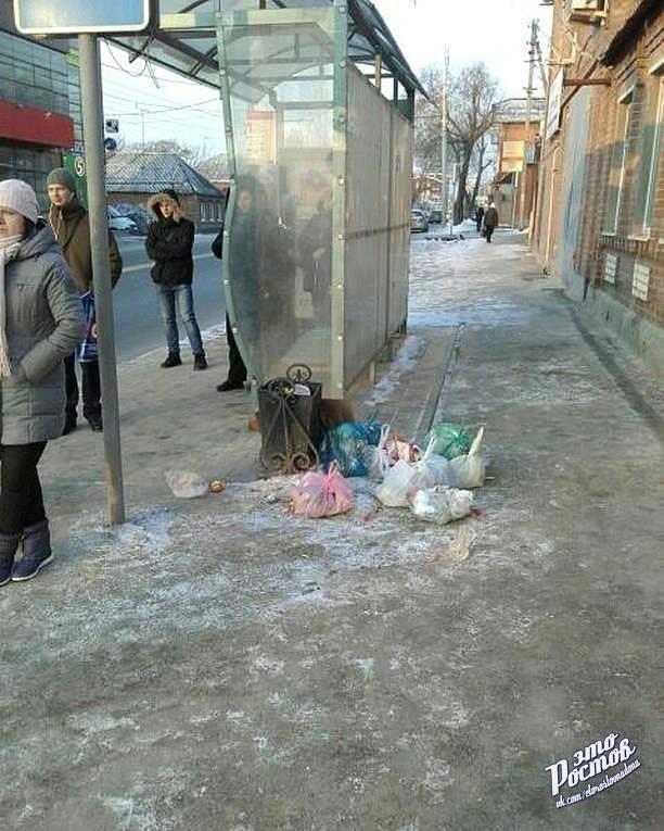 мус.jpg мус.jpg