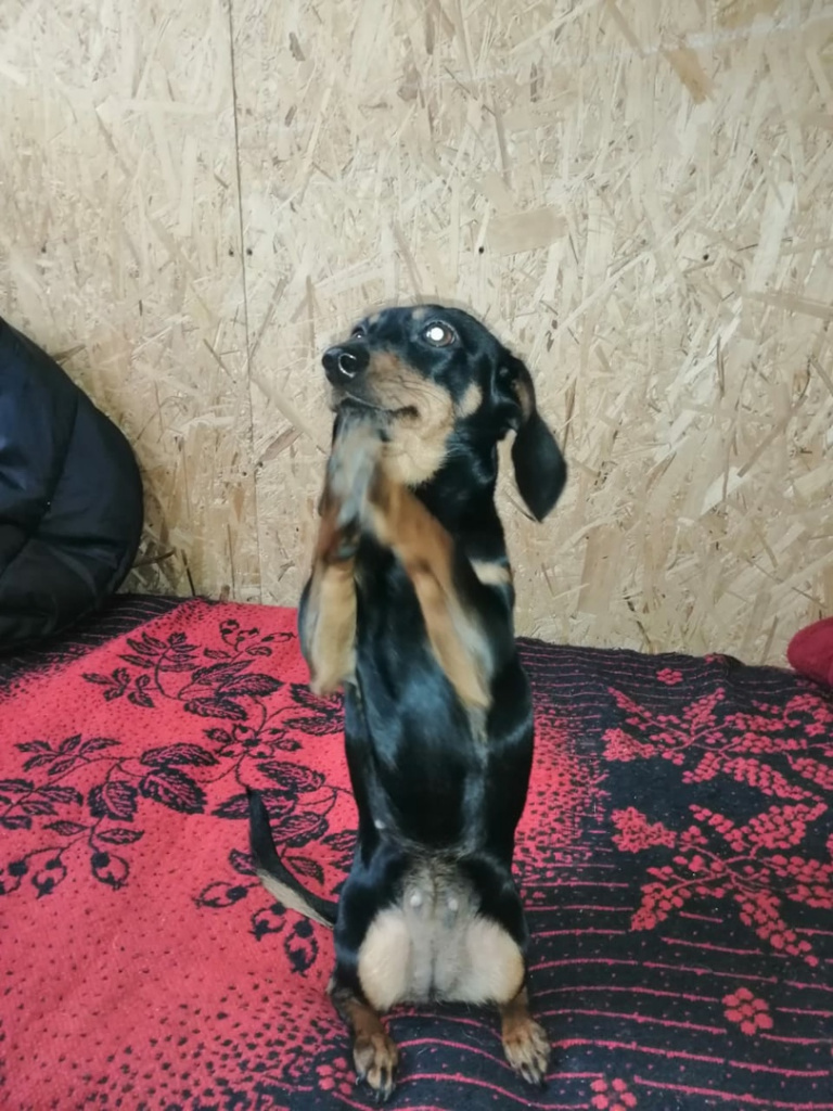 wfk2jhhRODU.jpg wfk2jhhRODU.jpg