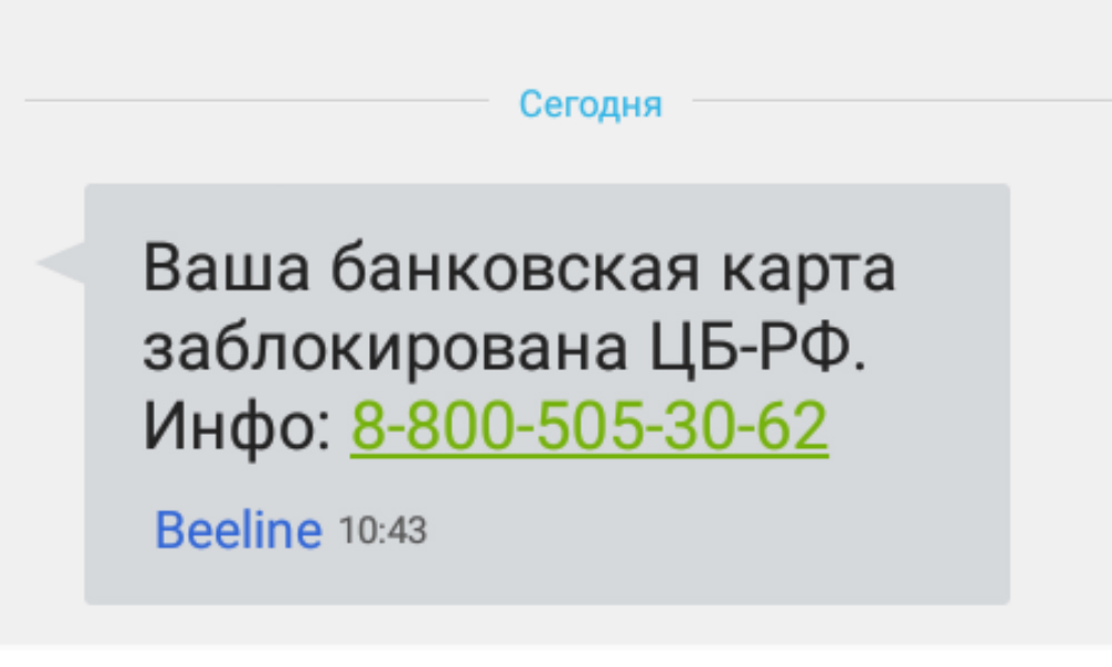 К9.jpg