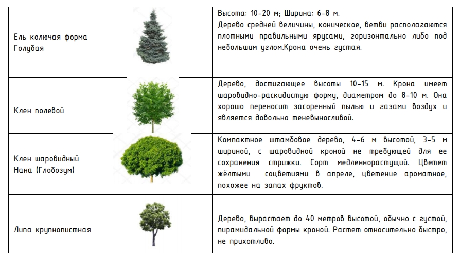 озеленение_батайск.jpg