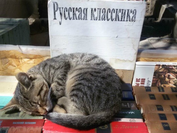 развал.jpg