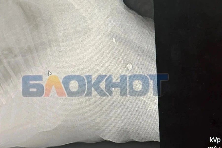 Фото: предоставлено Ириной Смоловой.