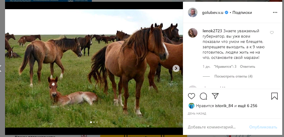 Пользователи раскритиковали губернатора Ростовской области за фото природы в инстаграме