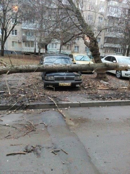 дереворухнуло1.jpg