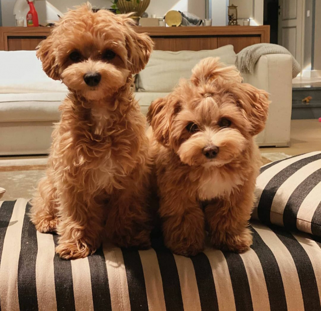 Fh4lvuee5ys.jpg Fh4lvuee5ys.jpg