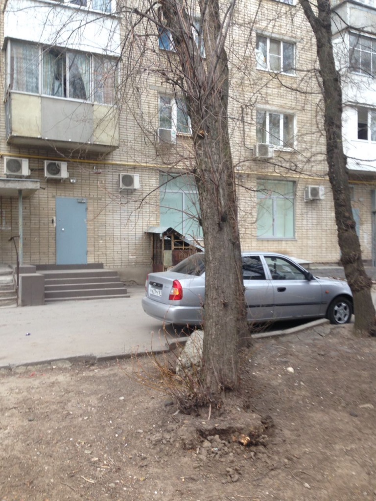ствол3.jpg ствол3.jpg