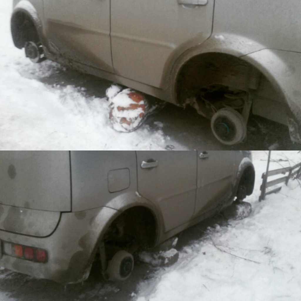 ЛизаАлерт