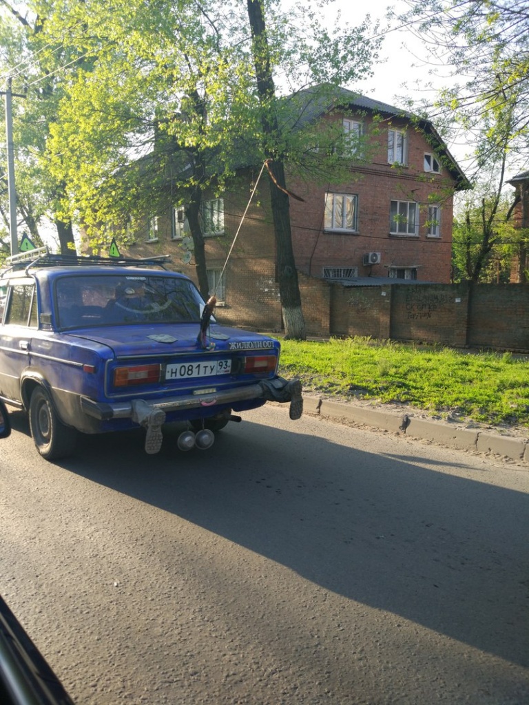 жиг2.jpg жиг2.jpg