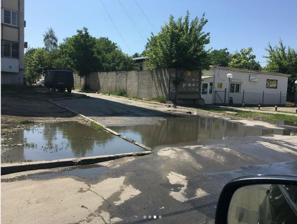 горшкова3.JPG