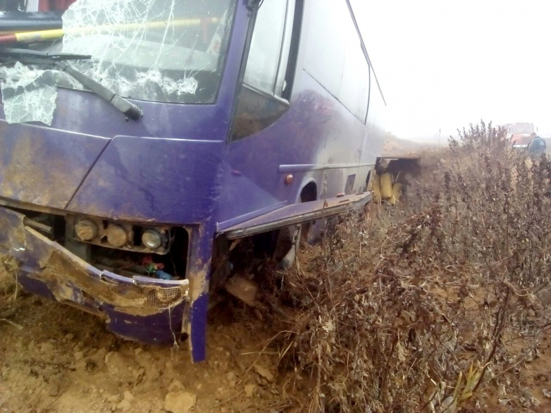 автобус 3.jpg