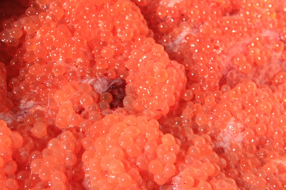 caviar-1823852_960_720.jpg